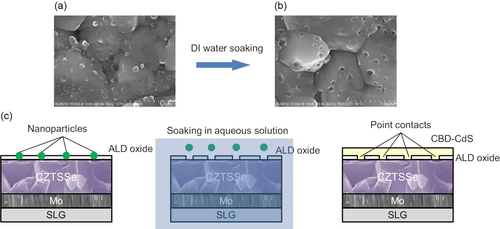 Boosting Kesterite Solar Cell Performance with Tantalum Oxide Passivation Layer and In Situ Formed Point Contacts