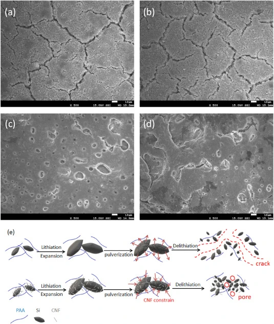 Constructing cellulose nanofiber/Si composite 3D-Net structure from waste rice straw via freeze drying process for lithium-ion battery anode materials